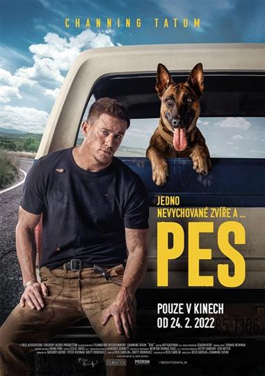 Plakát k filmu